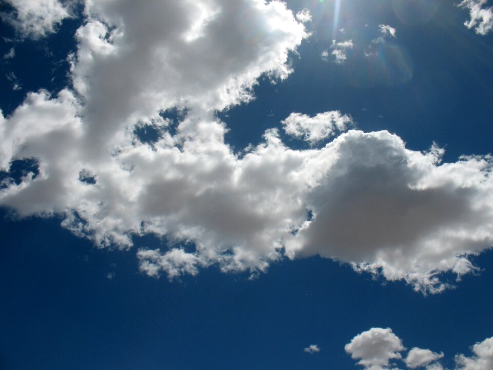 Fluffy bright outdoors
