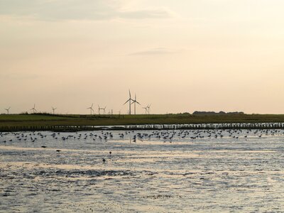 Sea water nature photo