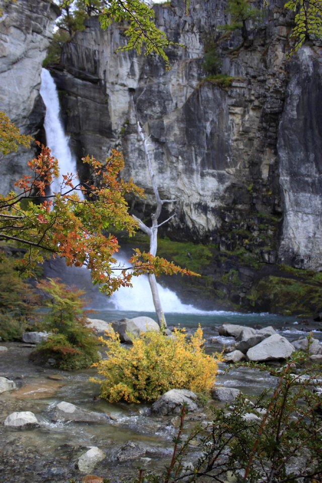 Waterfall vegetation plant photo