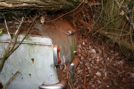 Car cemetery oldtimer trunk