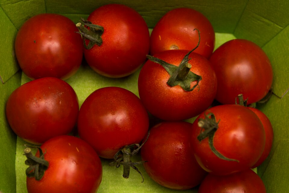 Green feeds food healthy