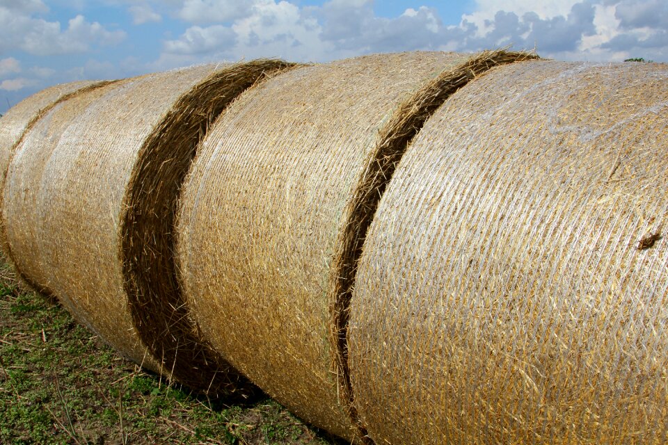 Feed halmbal around