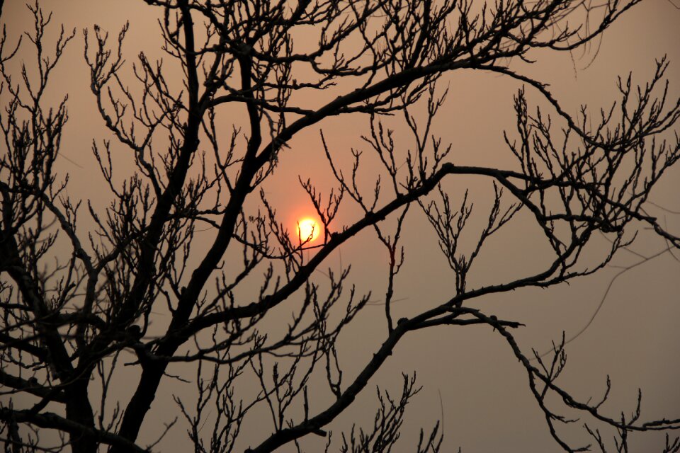 Moon shadows sunset