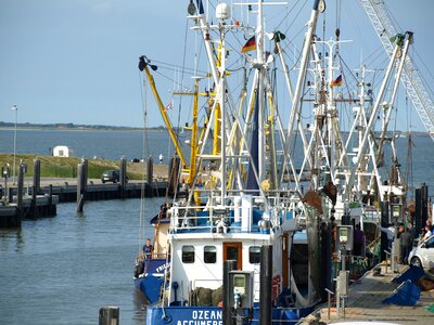 Port cutter north sea