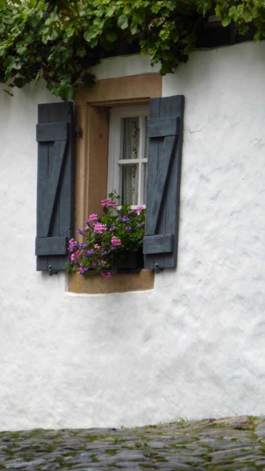 House building facade