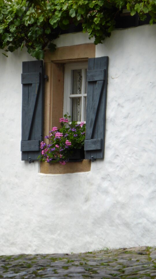 House building facade photo