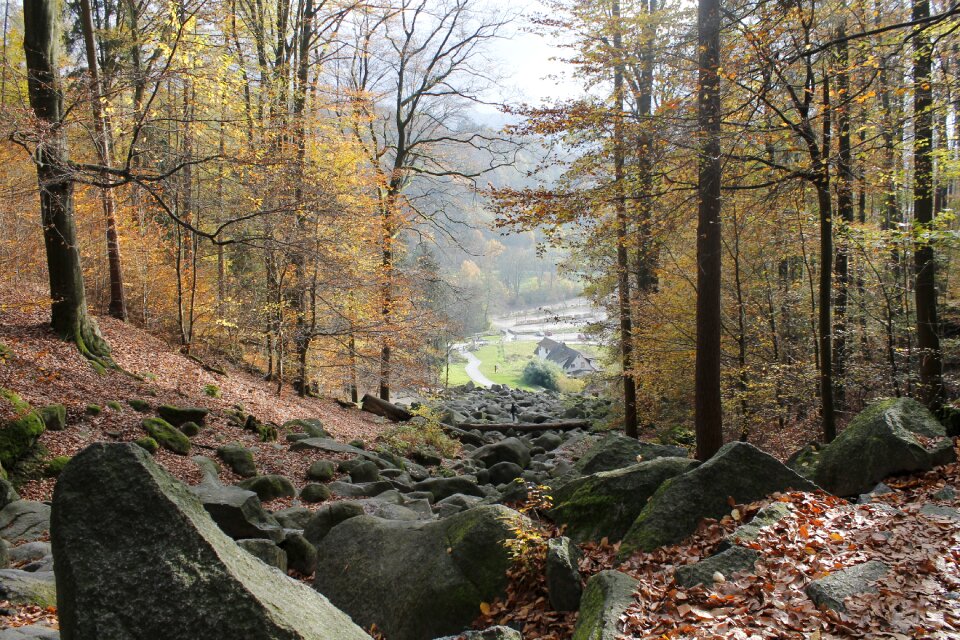 Autumn rock mystical