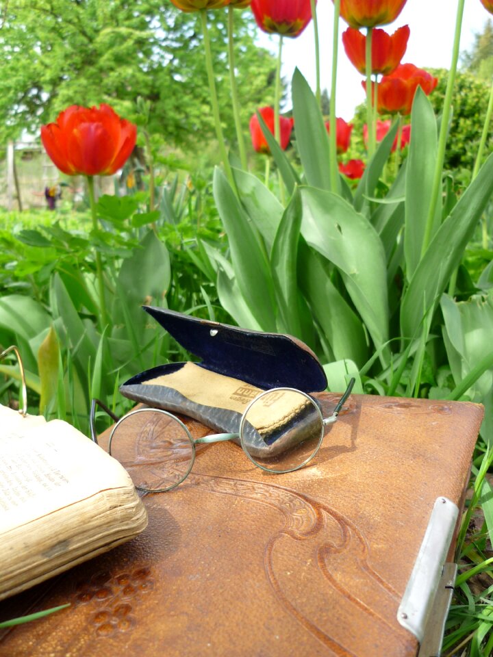 Photo album art nouveau tulips