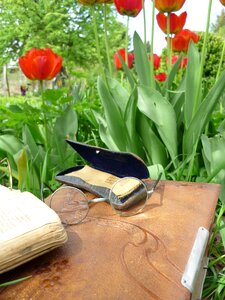 Photo album art nouveau tulips
