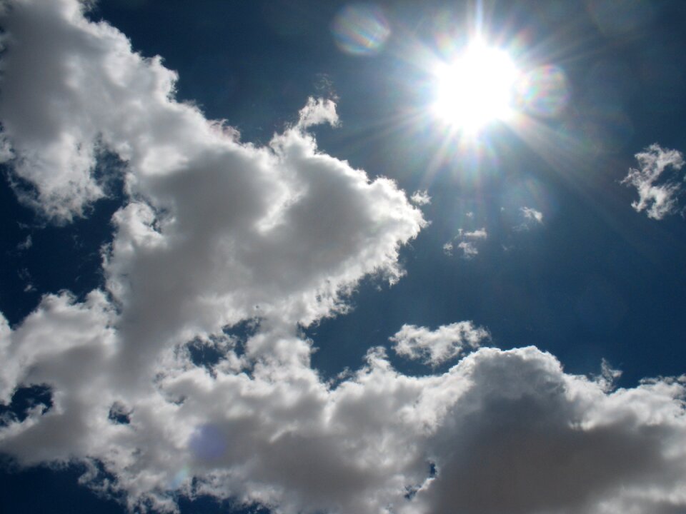 Fluffy bright outdoors