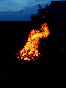 Yellow fire wood photo