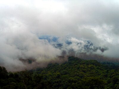 Green nature costa rica photo