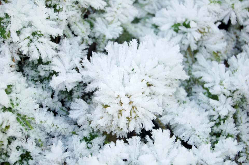Snow ice white