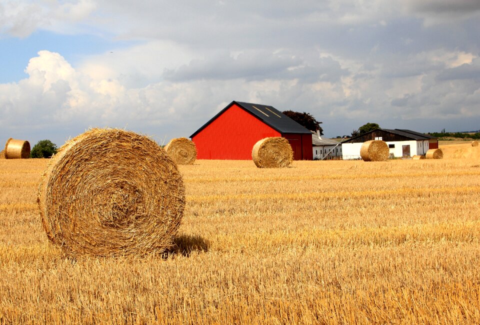 Halmbal barn harvest