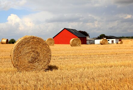 Halmbal barn harvest