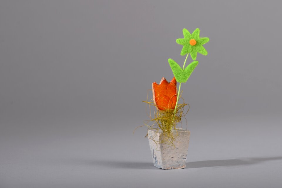 Green ornamental plant decor
