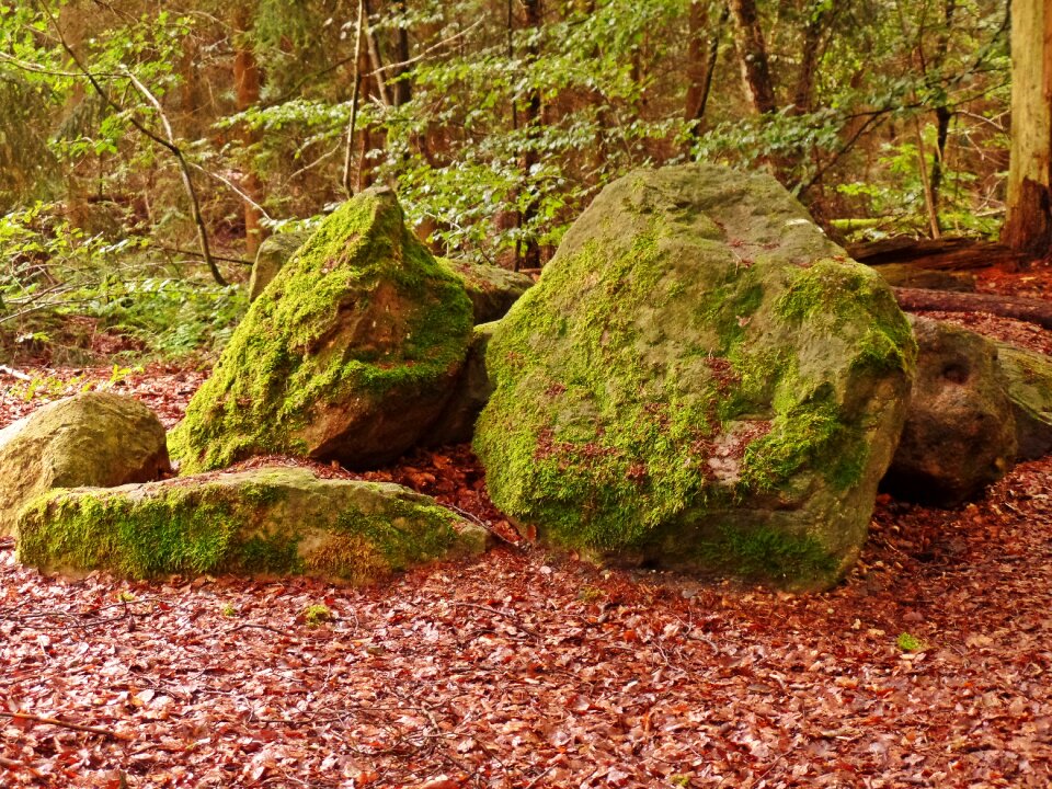 Stones nature bemoost