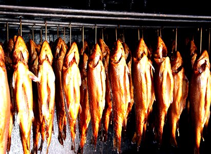 Fish festival smokehouse smoked fish