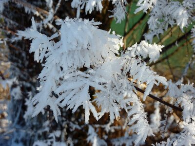 Winter winter magic christmas