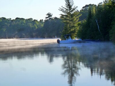 Boat morning forest photo