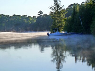 Boat morning forest