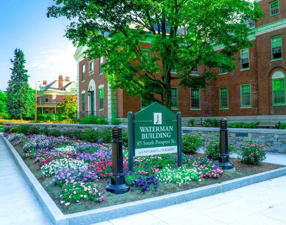 Vermont flowers waterman building