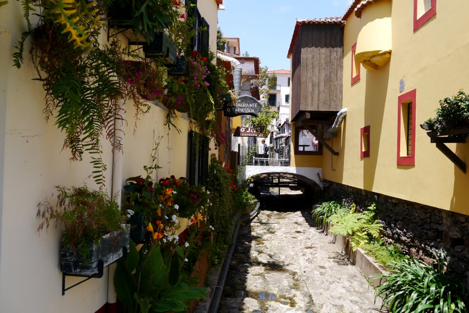 House flower island houses