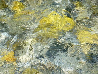 Clear watercourse nature
