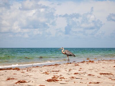 Ocean landscape nature photo