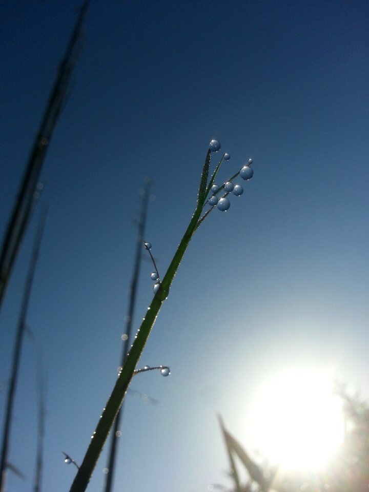 Sky nature landscape