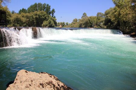 Turkey bach nature photo