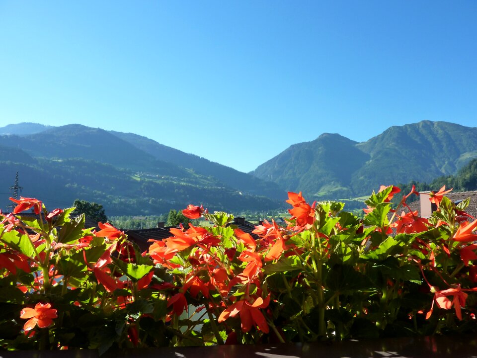 View panorama summer