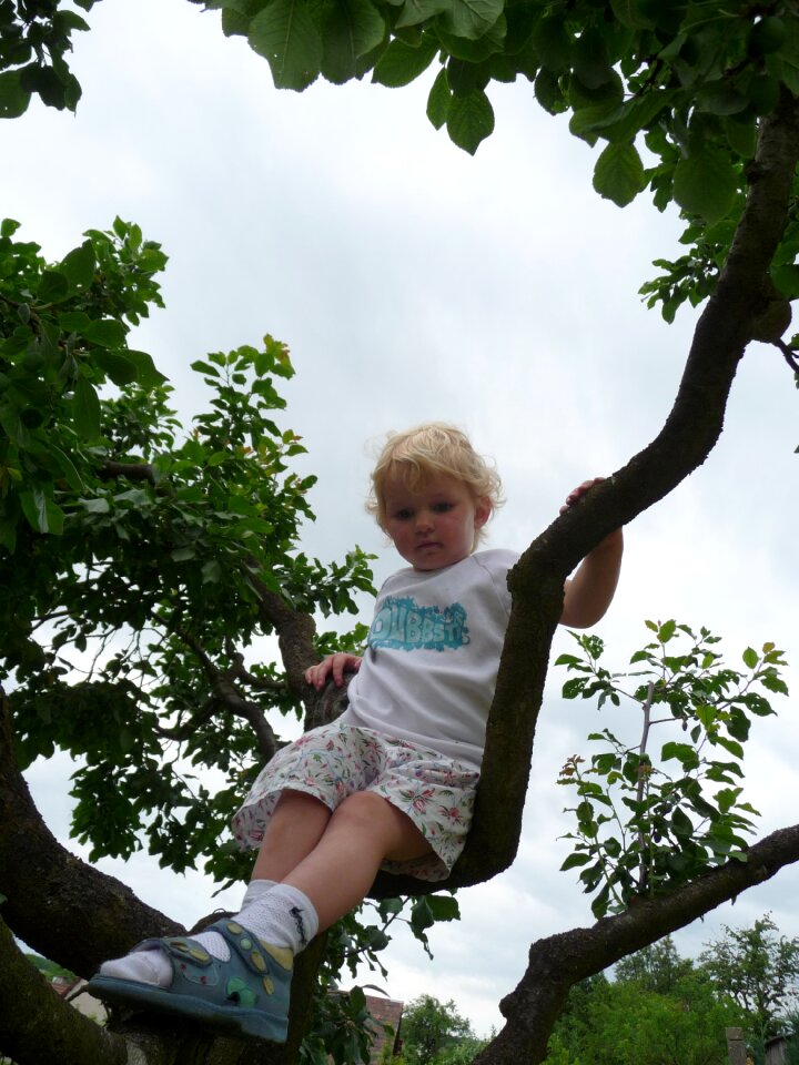 Play garden playground photo