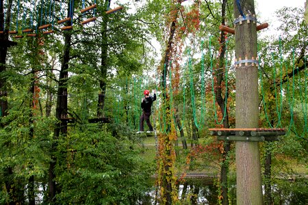 Fun rope tree
