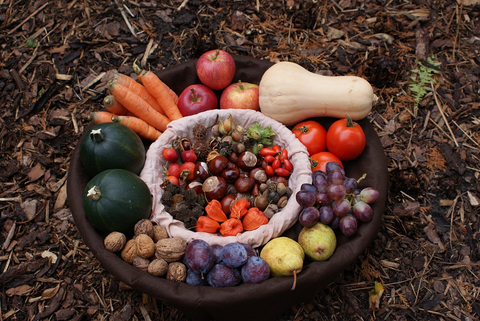 Pumpkin carrots grapes