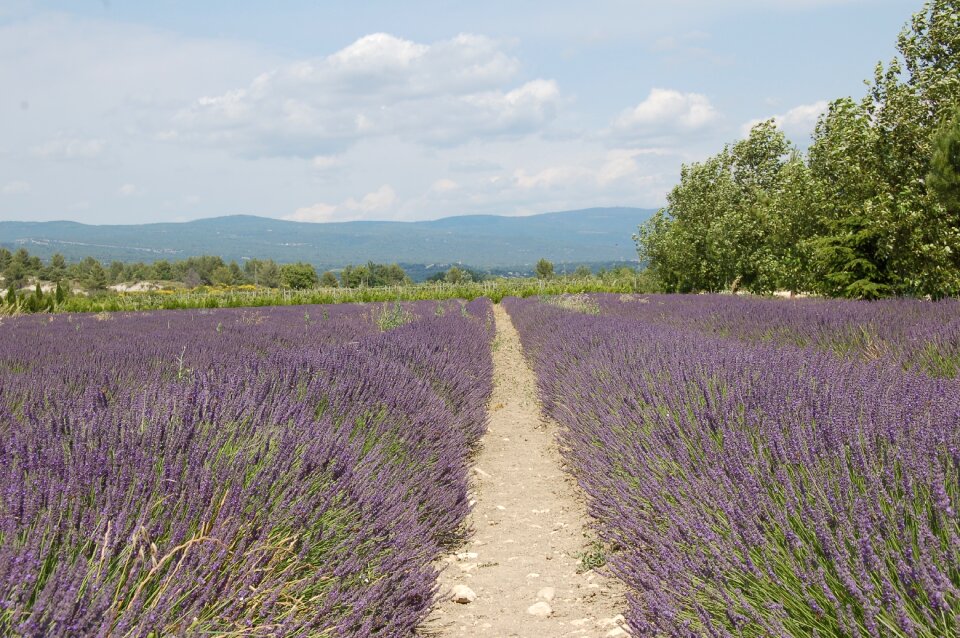 France mediterranean provence