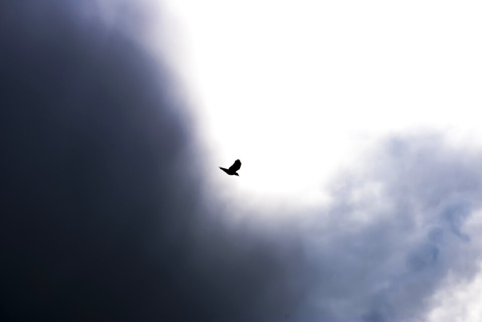 Clouds nature freedom