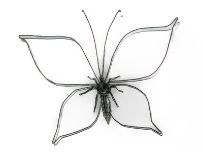 Butterfly wire decoration