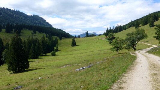 Allgäu bear moss alpe reported