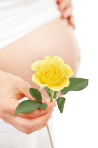 Expecting female flower