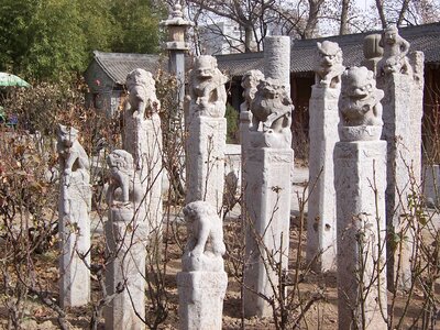 Art sculptures china