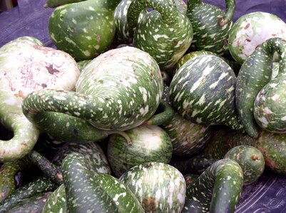 Fruit green still life