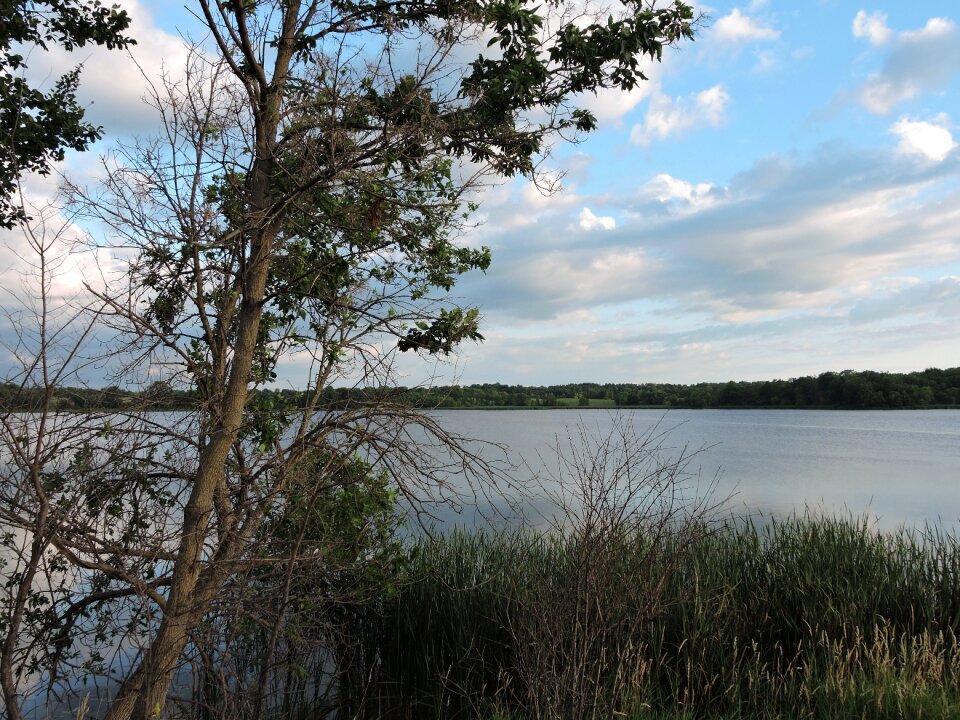 Landscape water summer