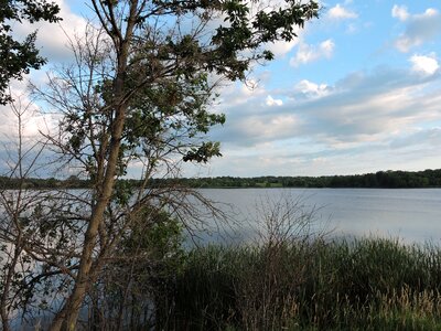 Landscape water summer