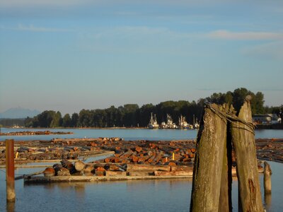 Logging timber logistics