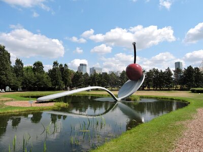 Spoon cherry park