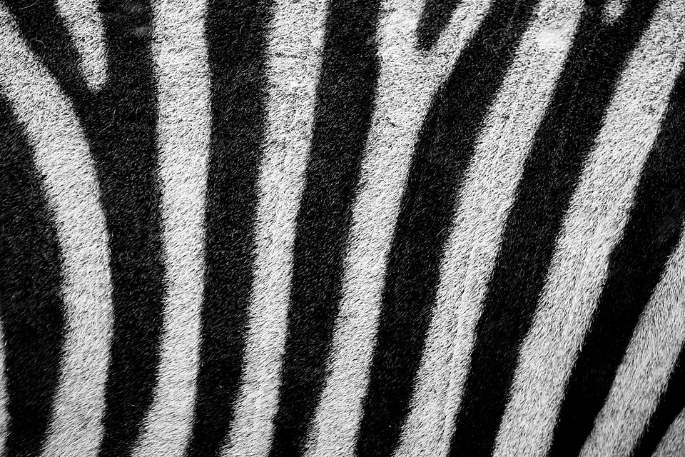 Background black camouflage