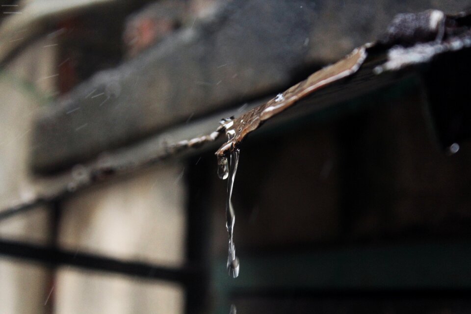 Rain raindrops water droplets