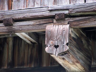 Tree structure carving heart