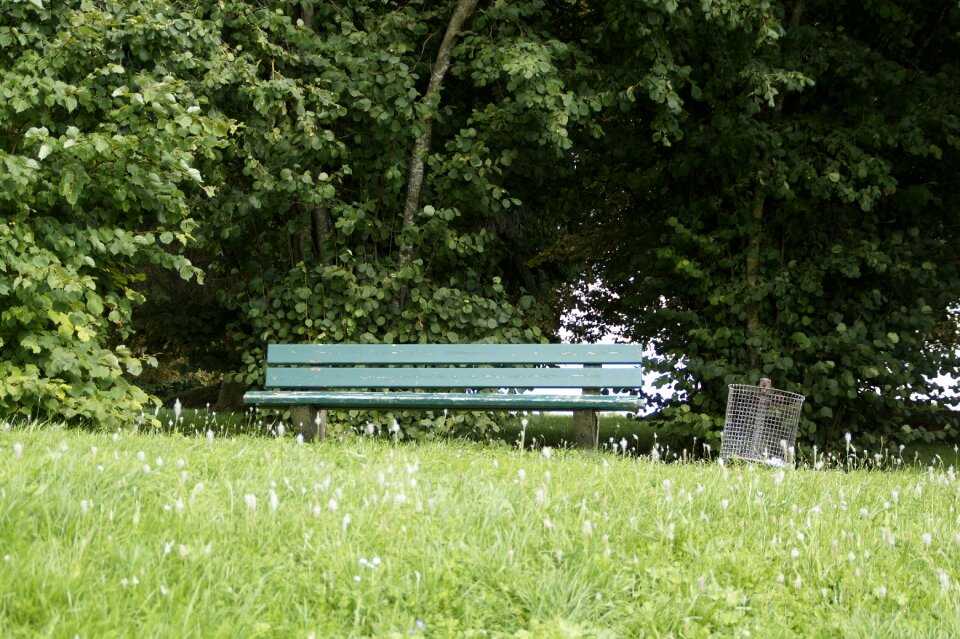 Walk go for a walk sit
